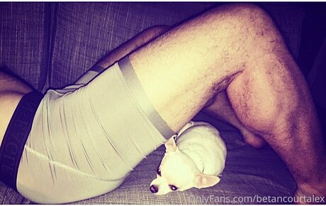 Thegreatalex model sex photo