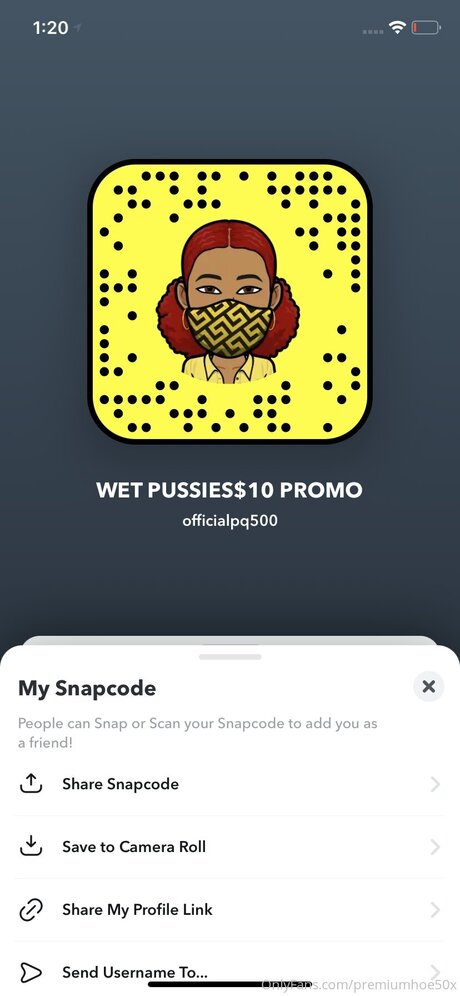 Premiumhoe50x perfect model pics