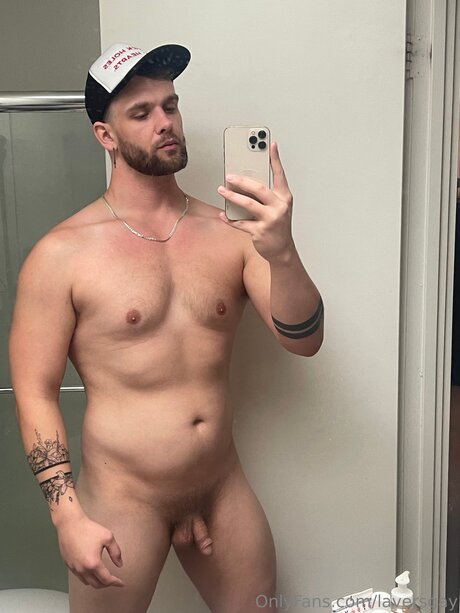 Laversgay model perfect images