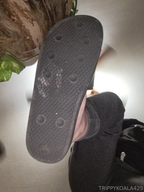 Trippykoala425 pornstar free pic