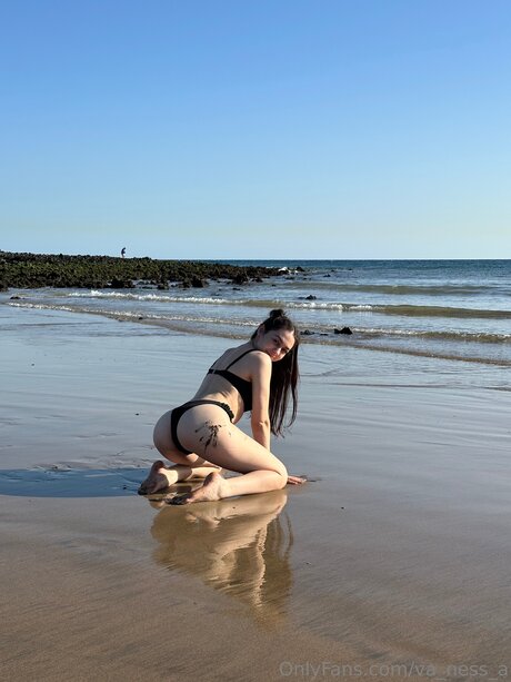 Va Ness A star art picture