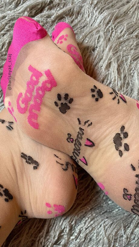 Harisnyas Csaj erotic pornstar img