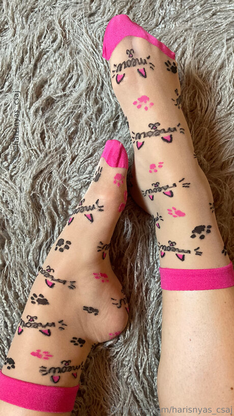 Harisnyas Csaj free actress photos