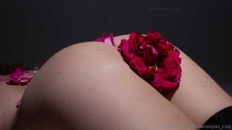 Harisnyas Csaj pornstar sex archive