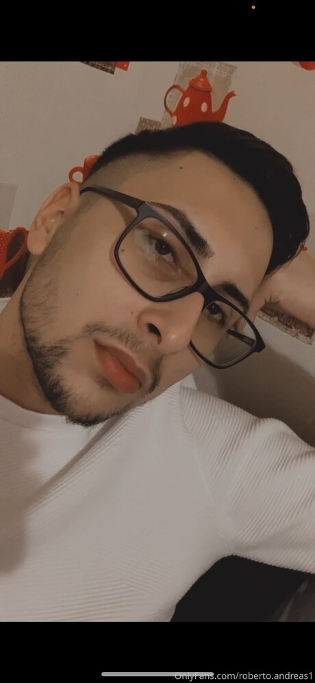 Roberto Andreas1 art star pics