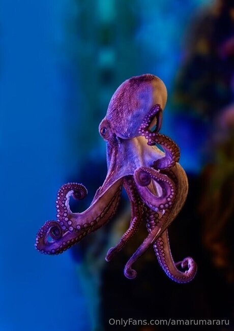 hippie onlyfans hd img