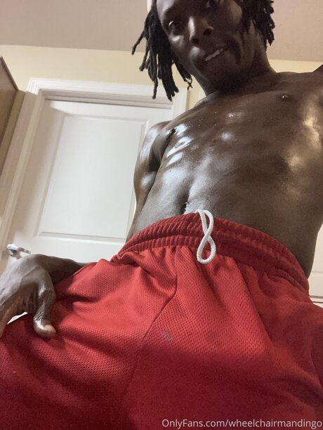 Wheelchairmandingo star porn gallery