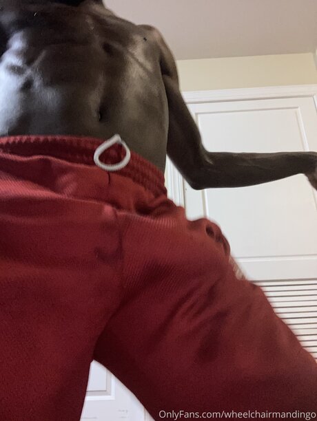 Wheelchairmandingo sexy model gallery