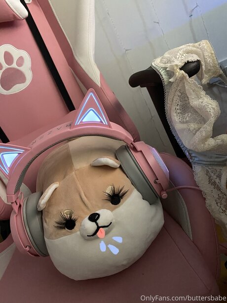 Zaykap hot star images