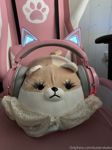 Zaykap star free pictures