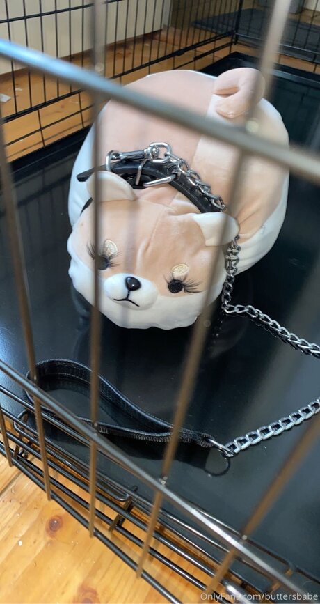 Zaykap art pornstar gallery