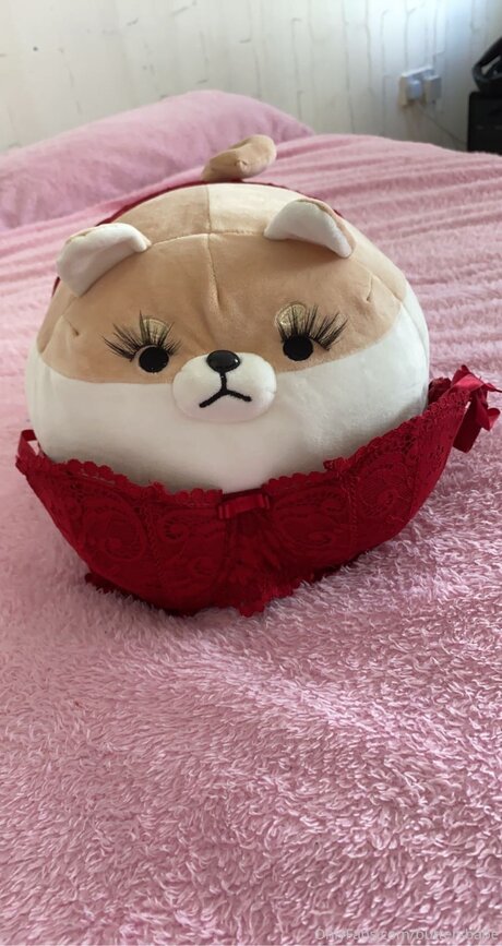 Zaykap adult actress archive