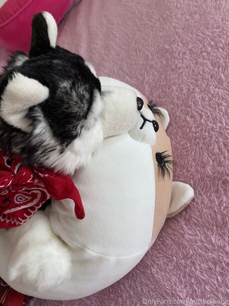 Zaykap perfect pornstar picture