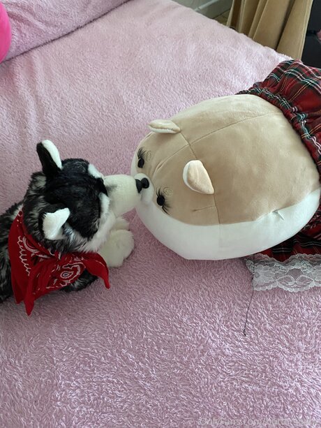 Zaykap sexy star pics