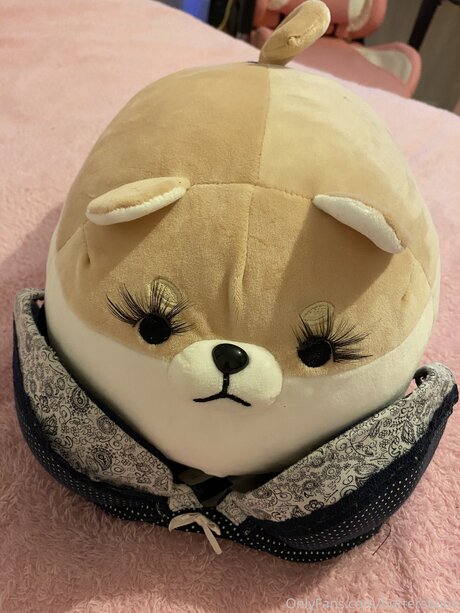 Zaykap star adult galleries