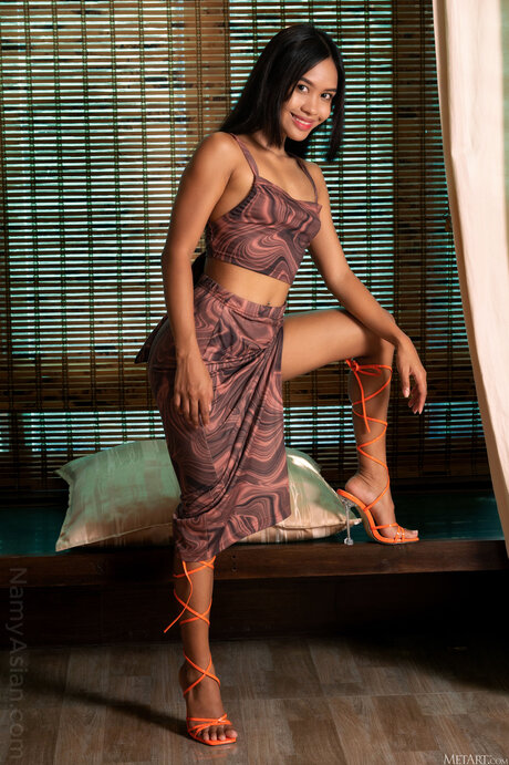 Namy Asian Free nude pornstar photo