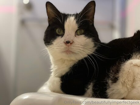 granny pussy onlyfans hot xxx photo