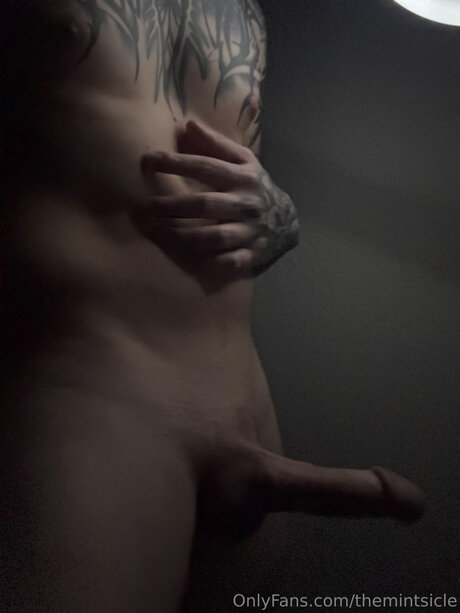 Themintsicle free pornstar picture