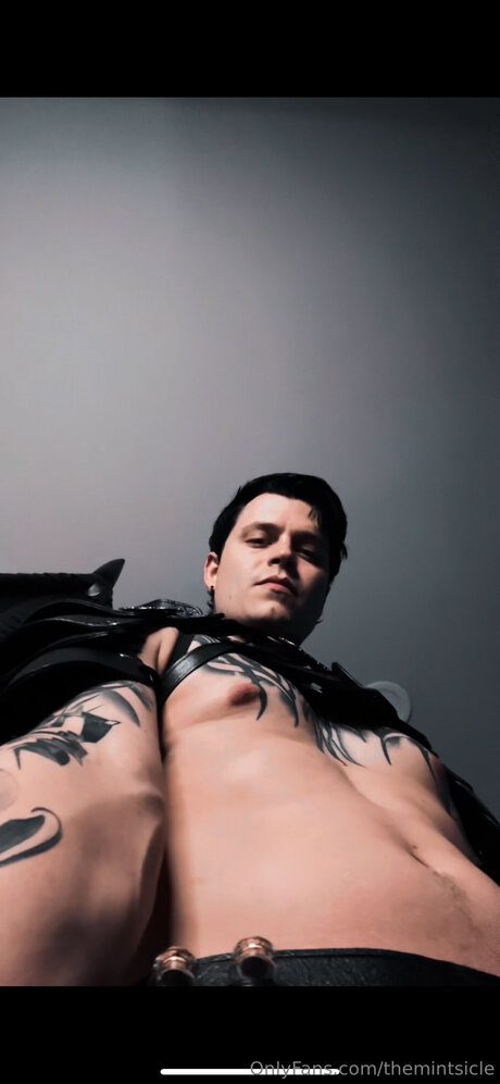 Themintsicle pornstar art images