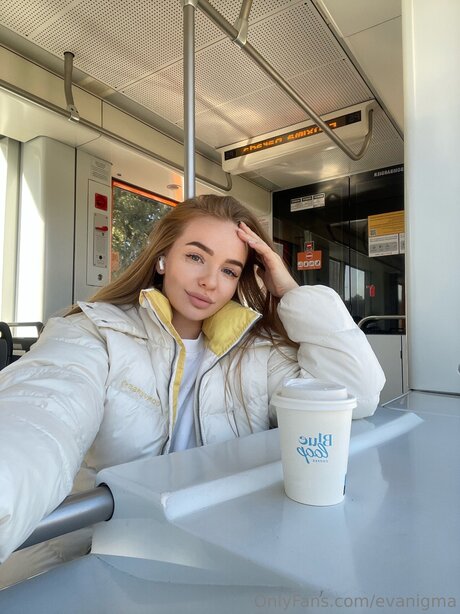 Evanigma Oftv art pornstar archive