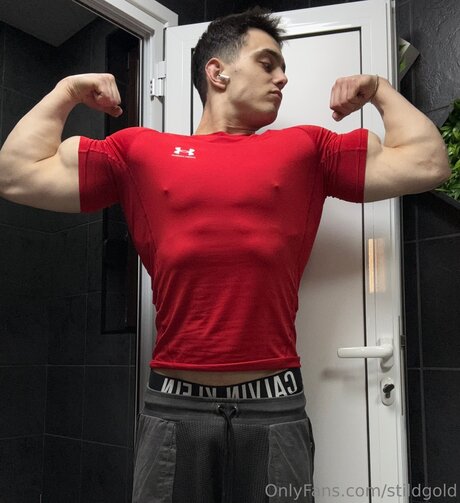 Stildgold star best pictures