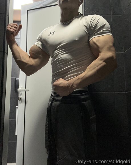 Stildgold star perfect img