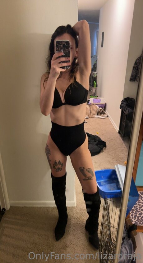 Lizardraja top pornstar archive