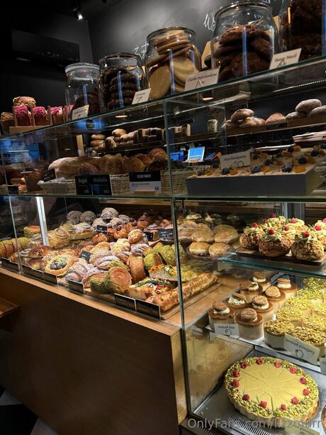 Lizzmurr model top image