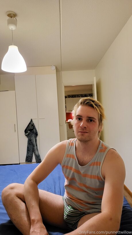 Punnettwillow star perfect archive