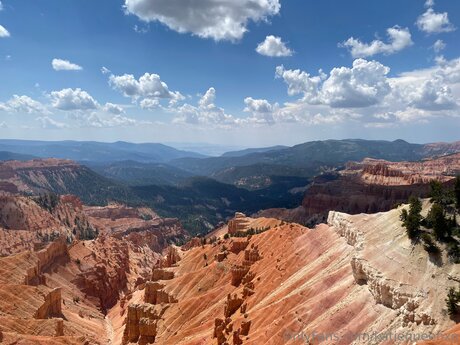 petite brunette onlyfans free xxx img