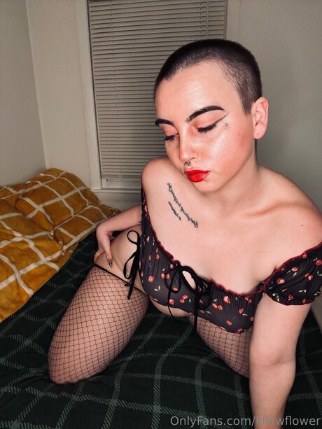 Kikiwflower nice star archive