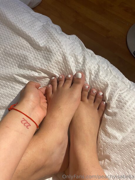 Morceel star galleries