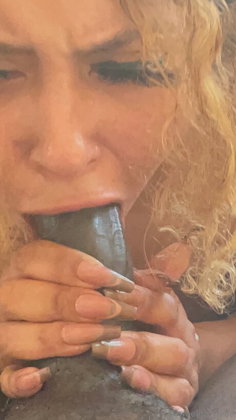 Carmelita Bebe top pornstar pic