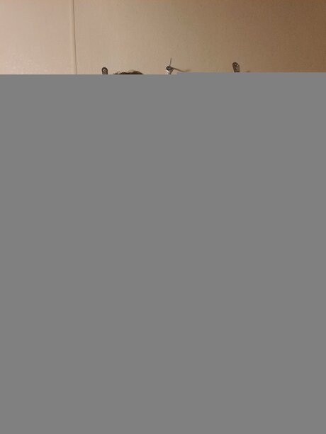 Lu Thebear69 exclusive model gallery