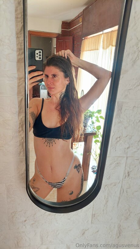 Agusvenus free star galleries