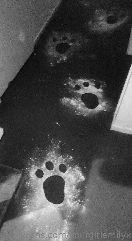 Yourgirlemilyx adult model gallery