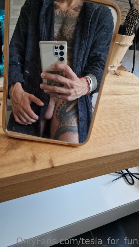 Tesla For Fun xxx star archive