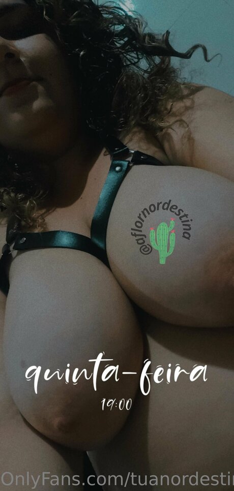 Tuanordestina pornstar nude pictures