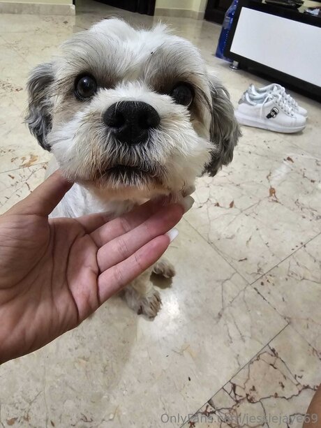 Jessiejaye69 xxx model pic