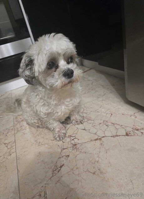 asian twink onlyfans sex pic