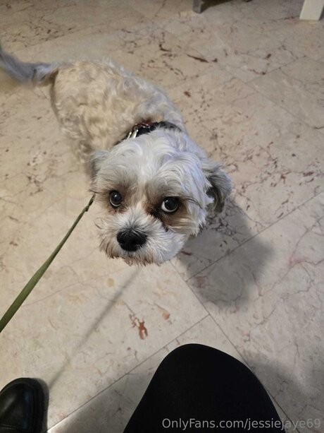 Jessiejaye69 naked pornstar photo