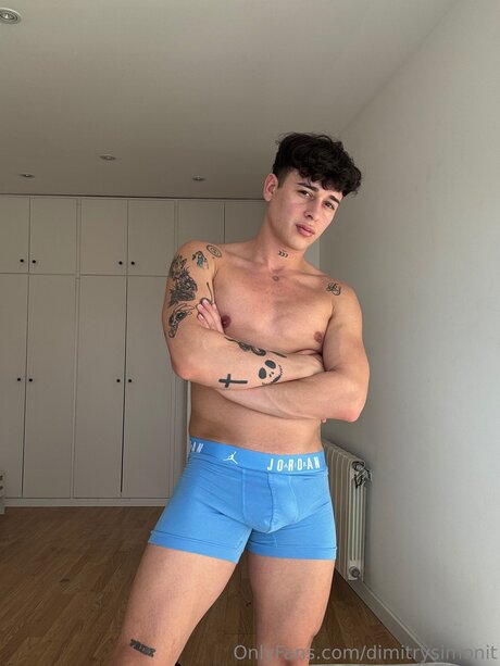 Dimitrysimonit model hd image