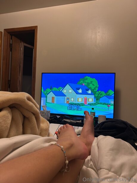 Sky23x hd model picture