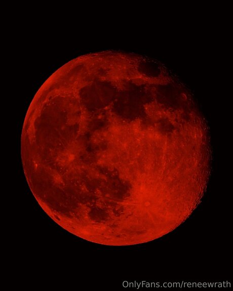 Reneewrath model top image