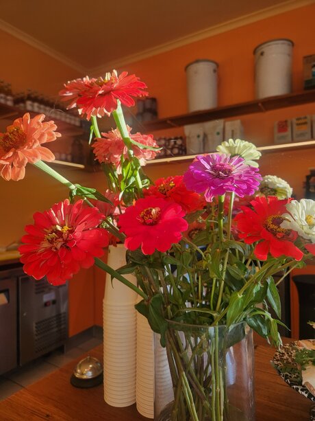 Helloeloise nice pornstar images