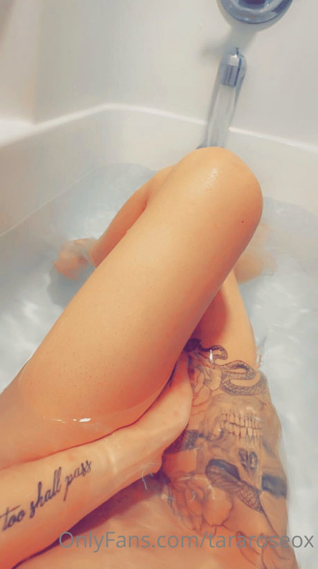 Tara Rose_ pretty pornstar images