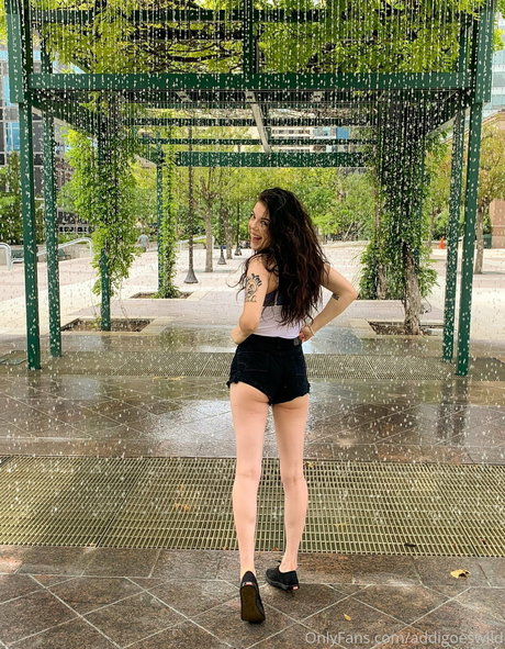 Addi star hot gallery