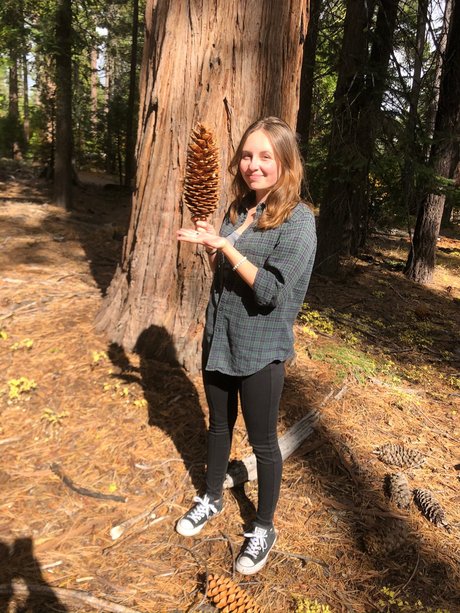 Caliwife13 sexy pornstar picture