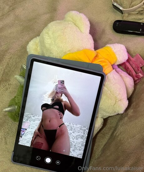 Luisakaiser star top img