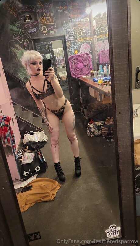 Featheredsparrow star porn image